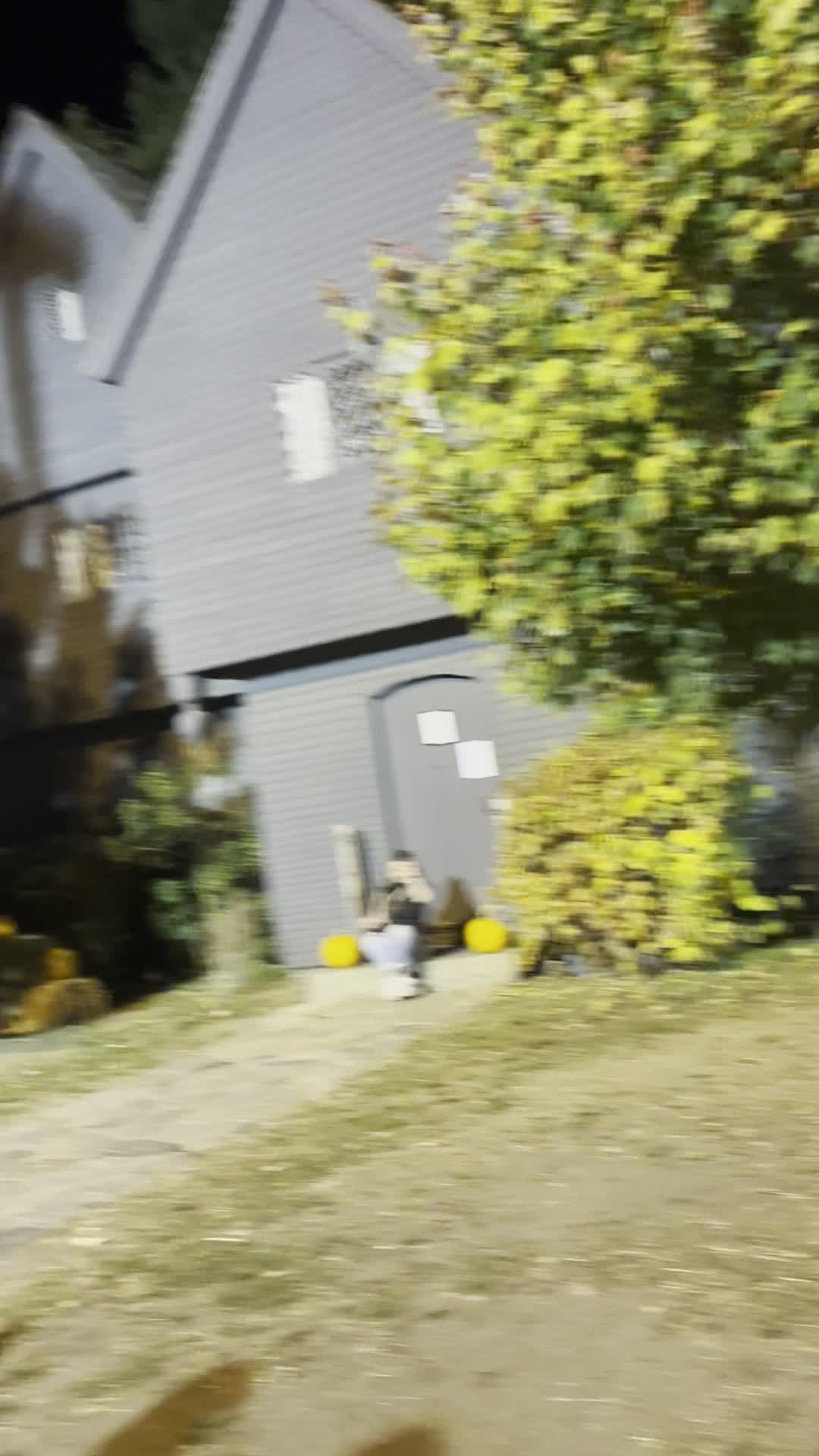 Video review of Witch House