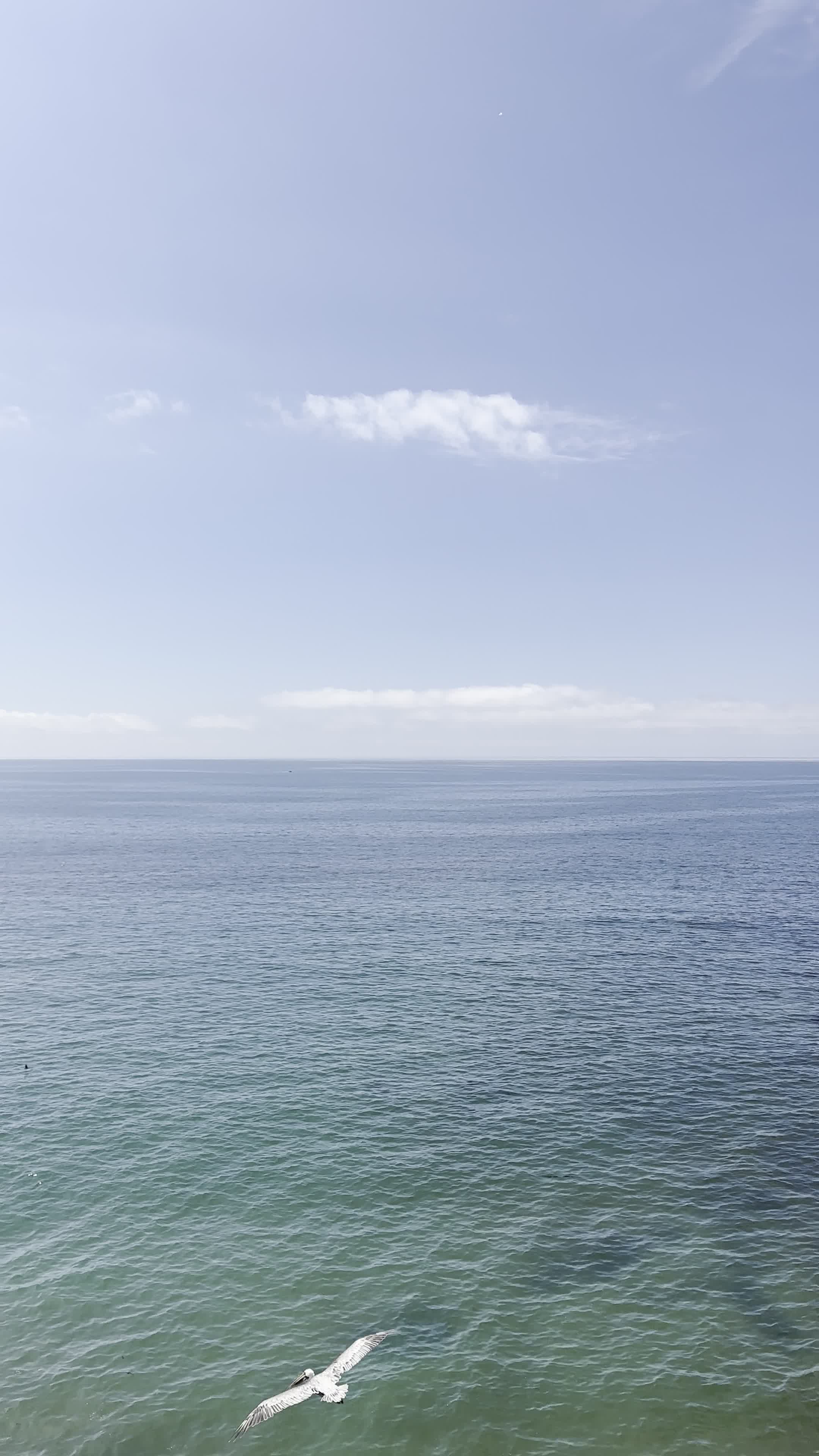 Sea Crest Vista Point