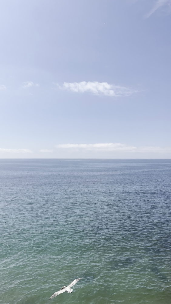 Sea Crest Vista Point