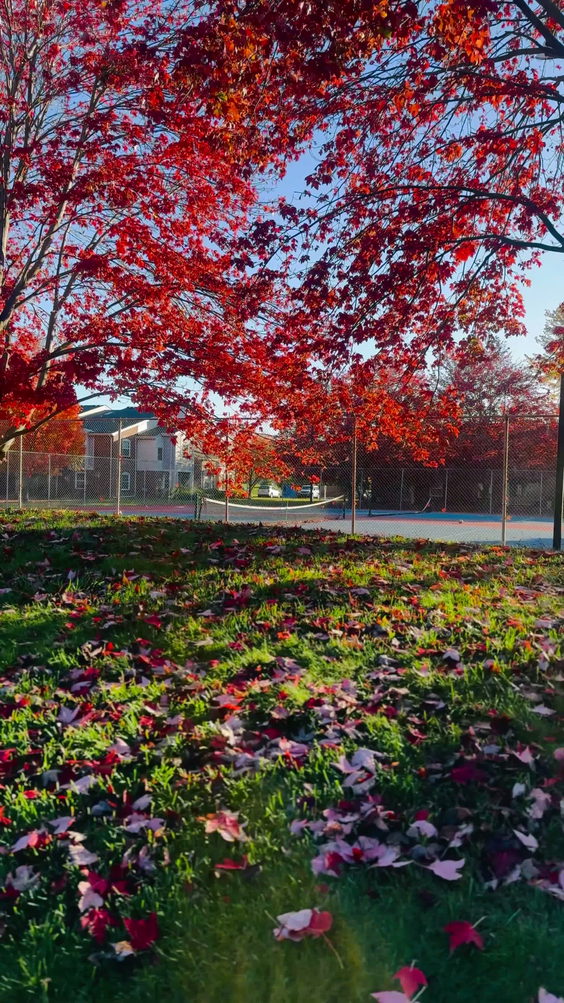 Fairlane Meadow Luxury Apartments and Townhomes
