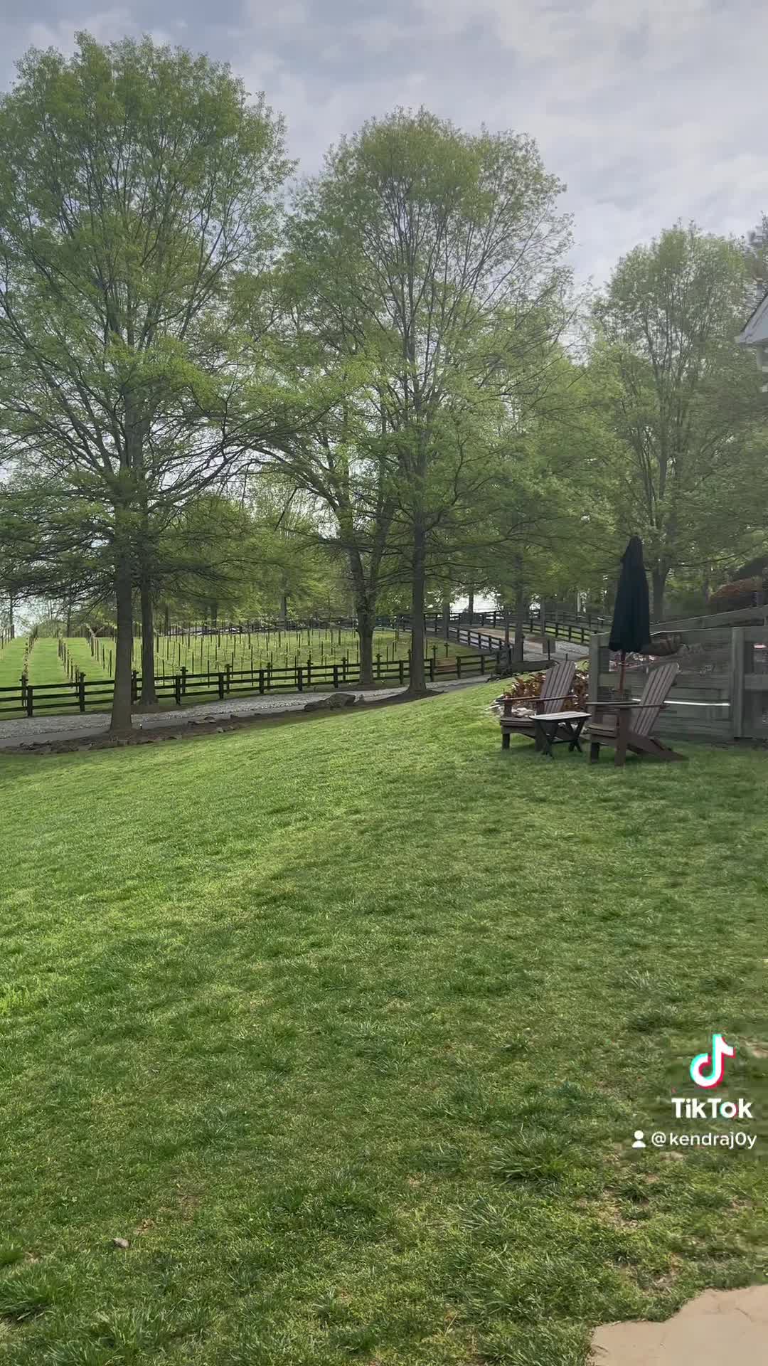 Stoney J’s Farm Winery