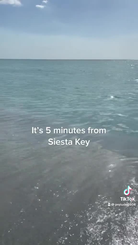 Video review of Turtle Beach