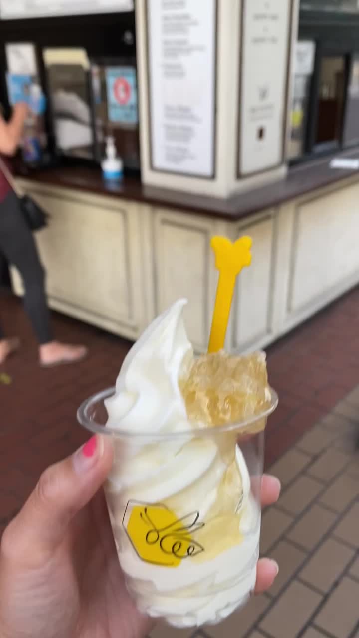 Video review of Honeymee