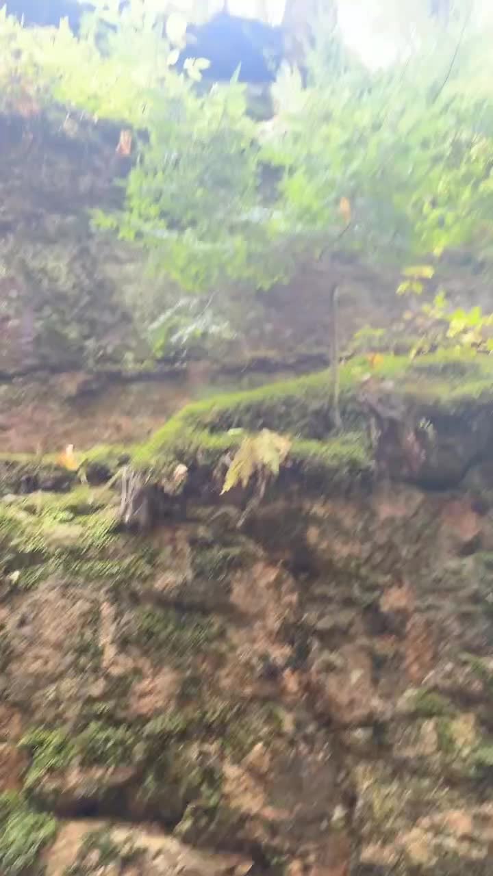 Franconia Notch State Park