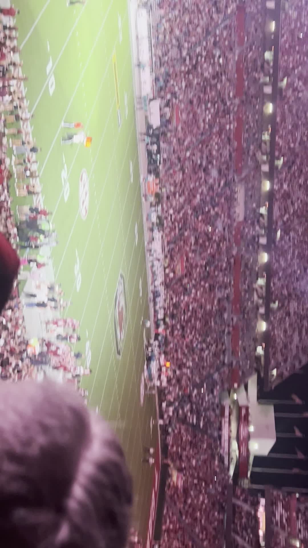 Williams-Brice Stadium