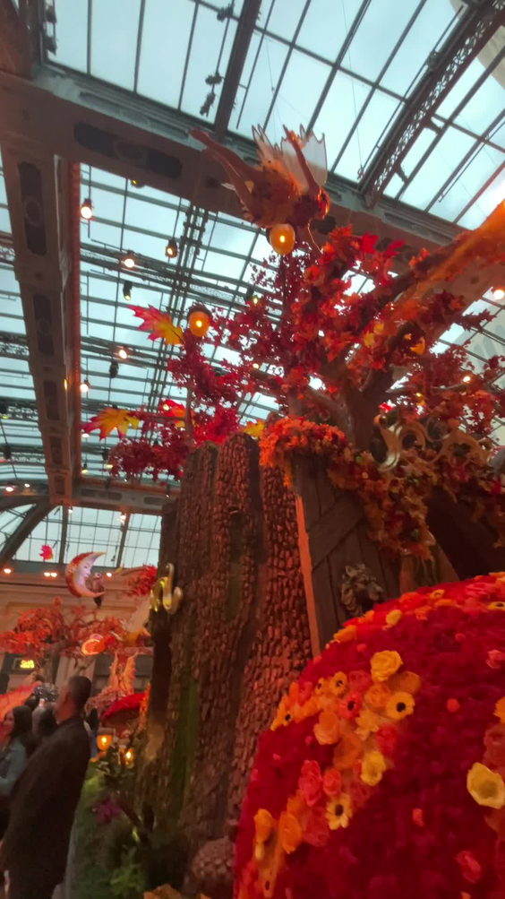 Bellagio Conservatory & Botanical Gardens
