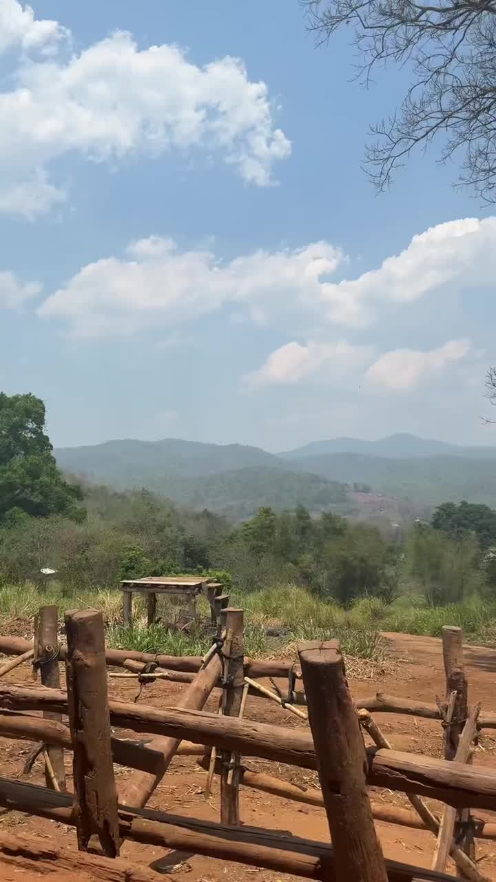 Pon Elephant Thailand