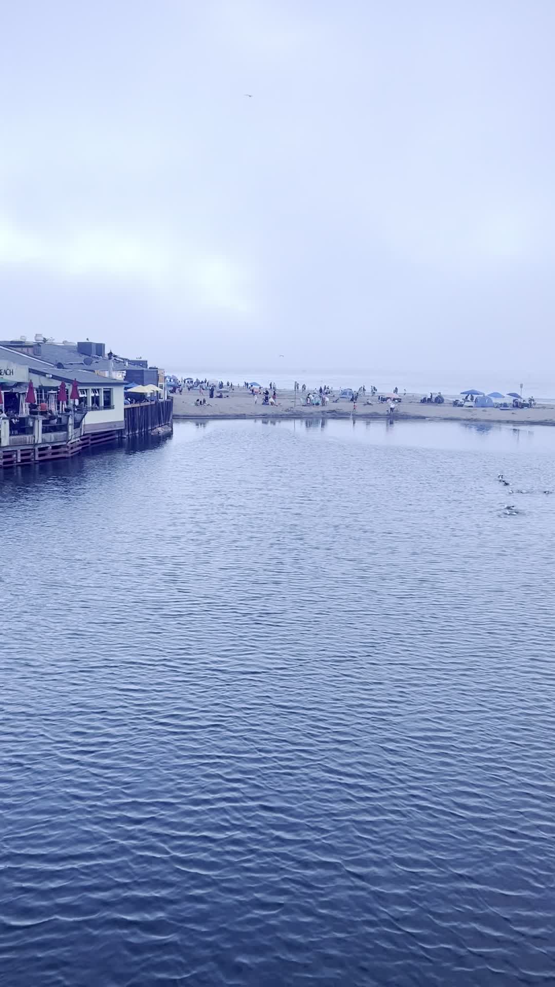 Capitola Village By The Sea