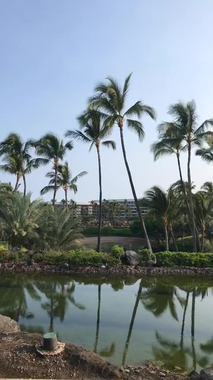 Hilton Waikoloa Village
