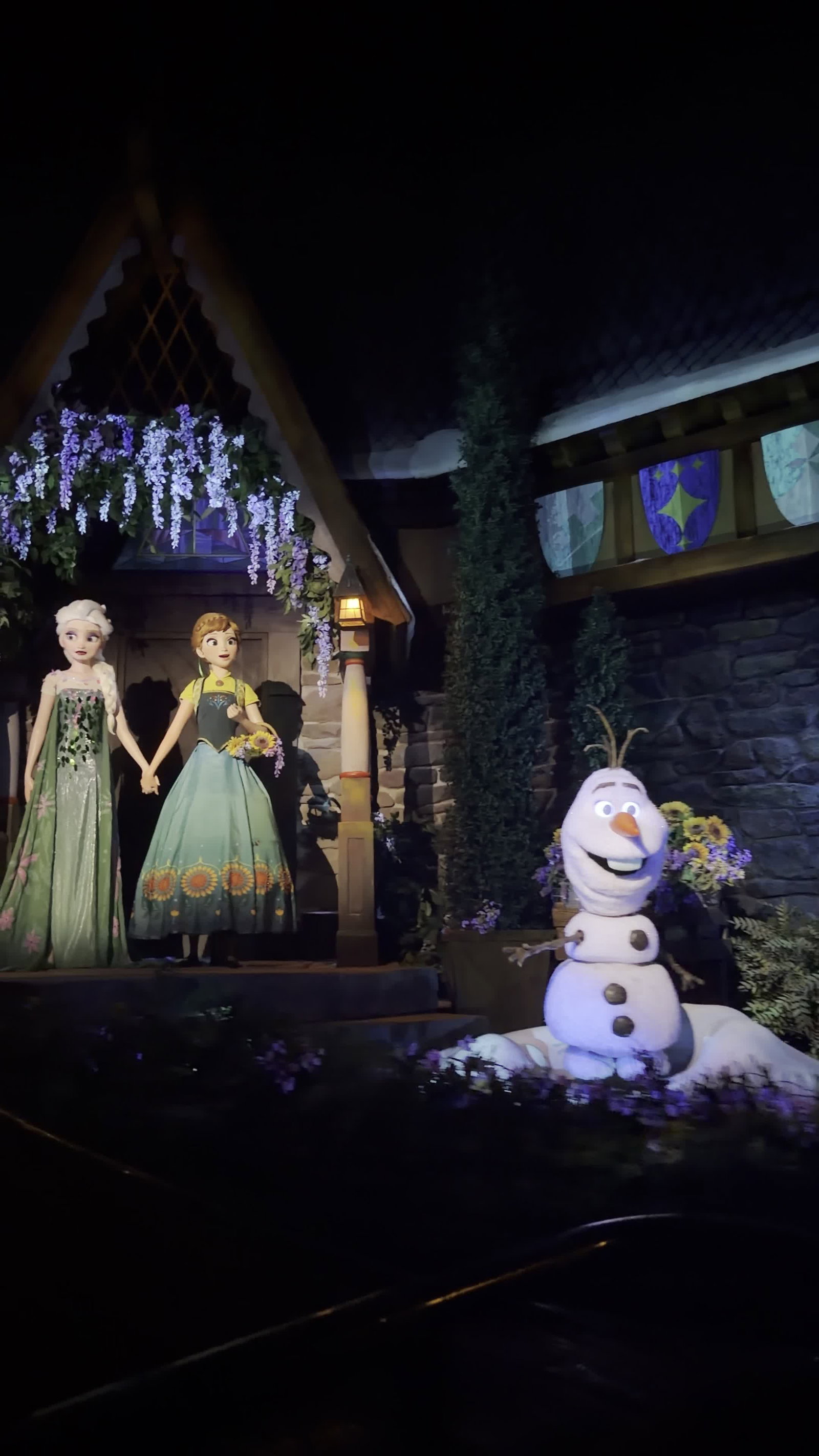 Video review of Frozen Ever After
