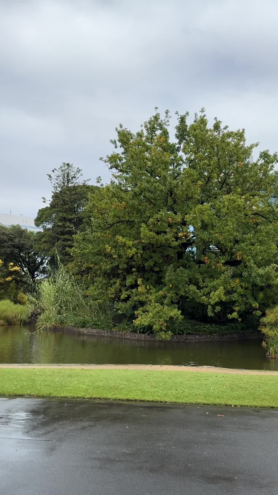 Video review of Carlton Gardens