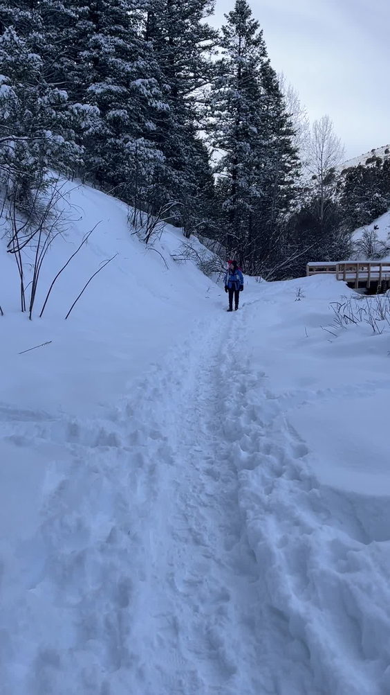 West Fork Mink Creek Trailhead