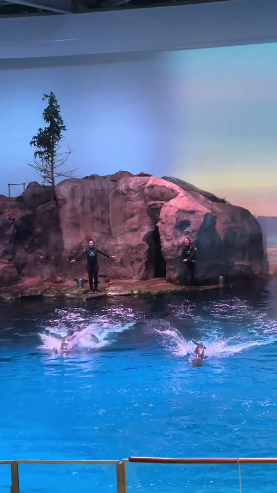 Shedd Aquarium