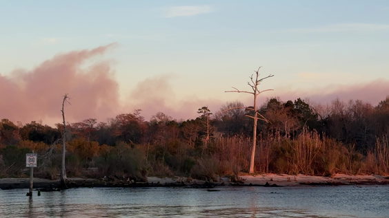 Mandeville Lakefront