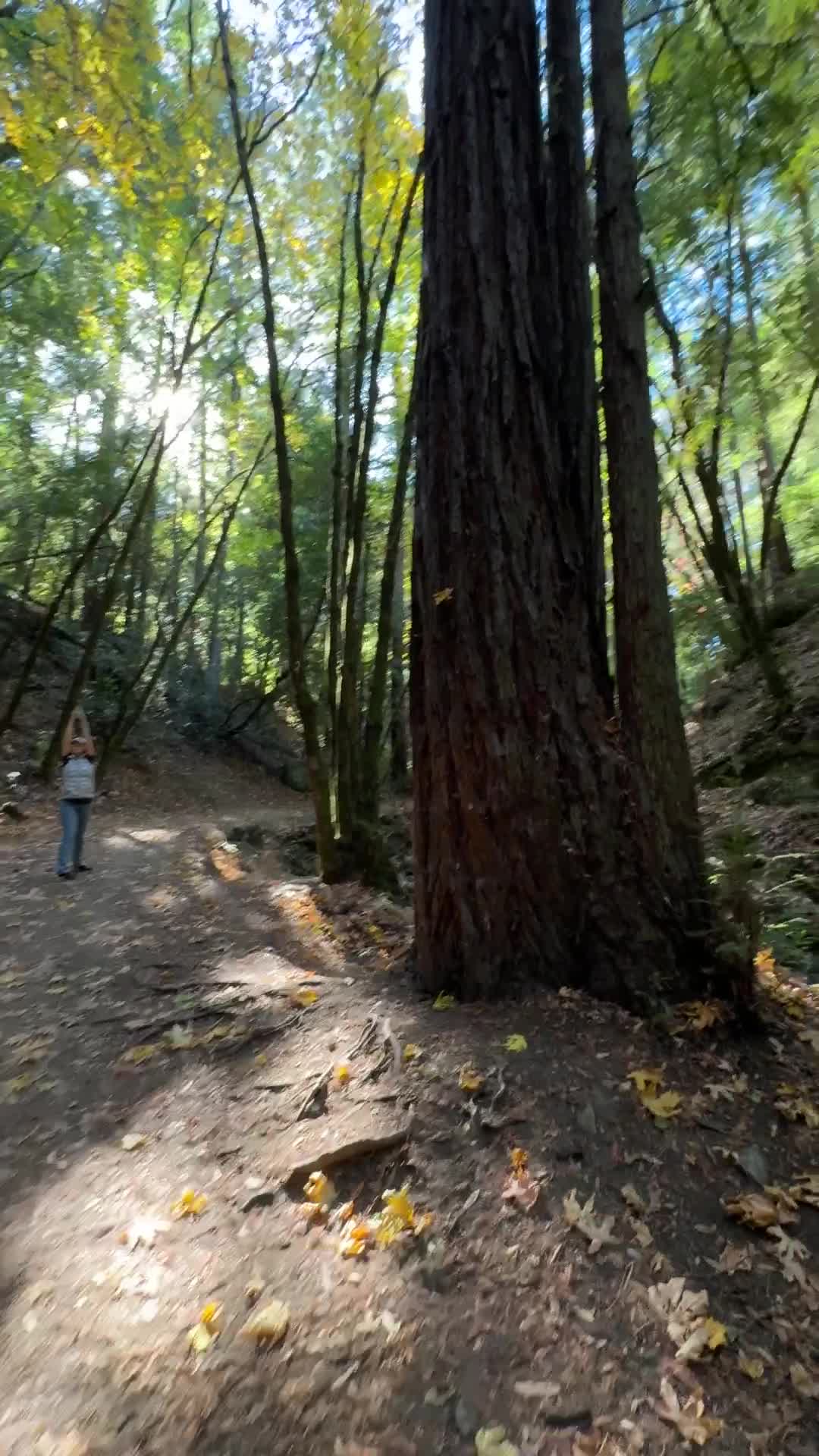 Sanborn County Park