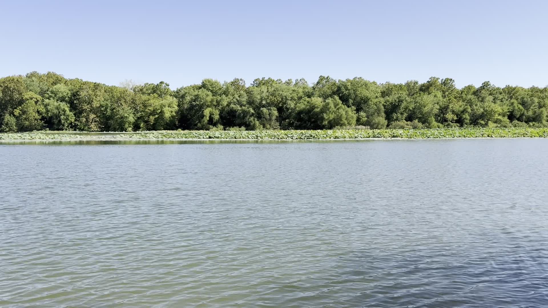 Lake Springfield Boathouse & Marina