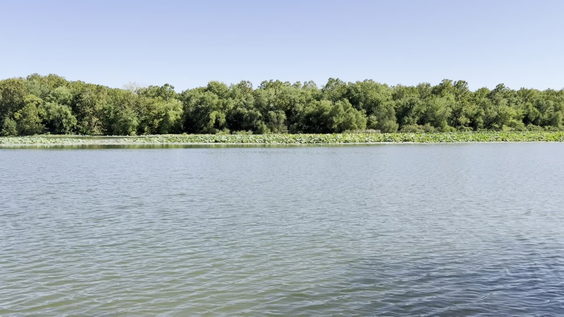 Lake Springfield Boathouse & Marina