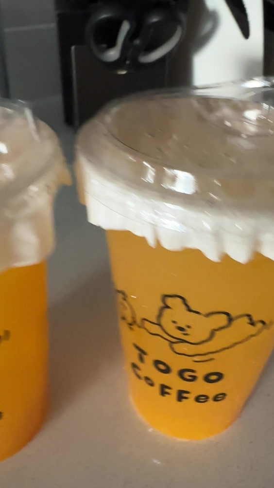 Togo Cafe 土狗咖啡 North York 