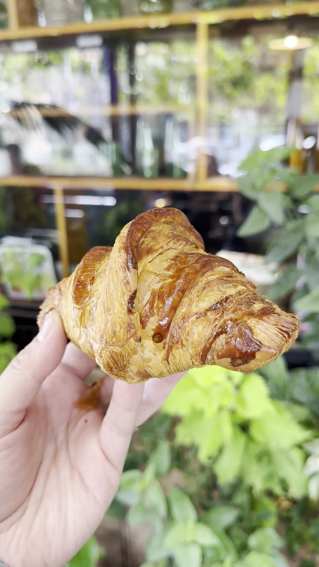Wayfarer Bread & Pastry