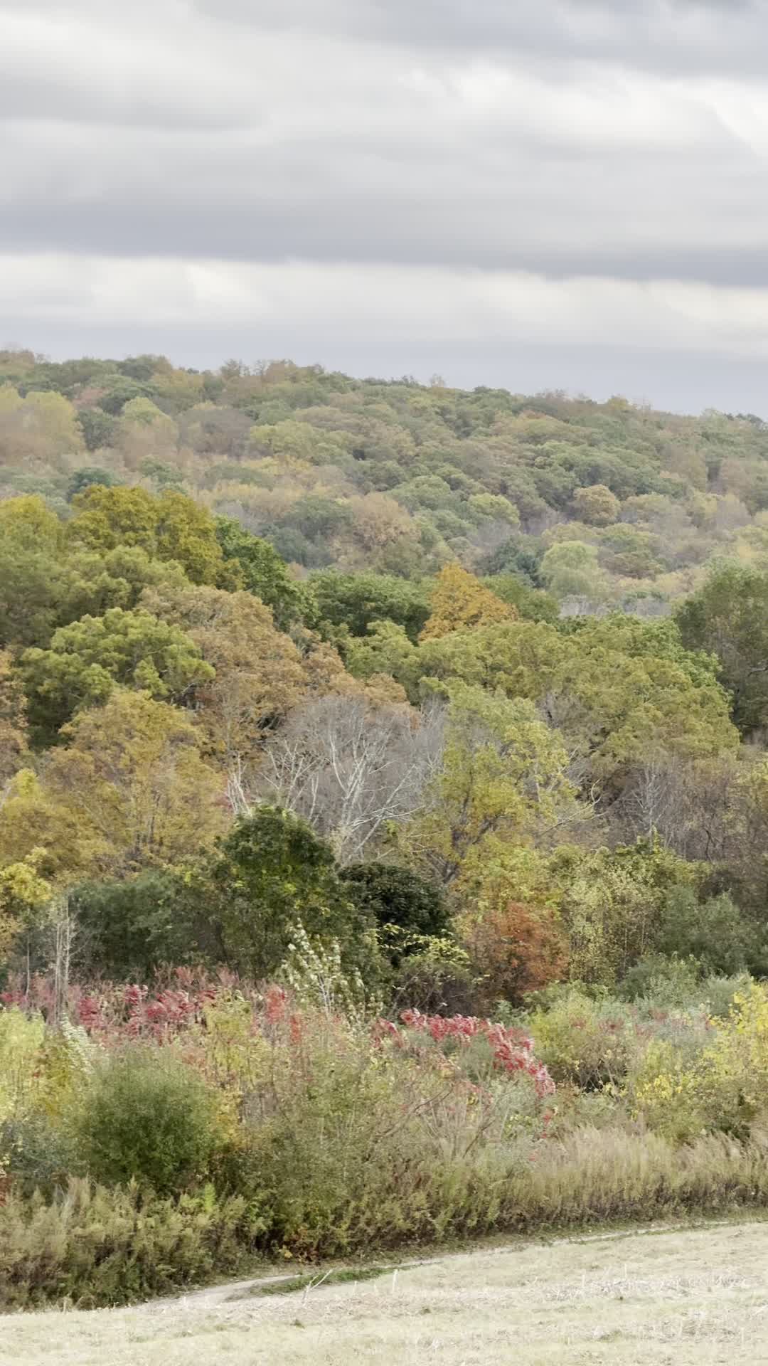 Kimberly Farms Ice Cream Shoppe