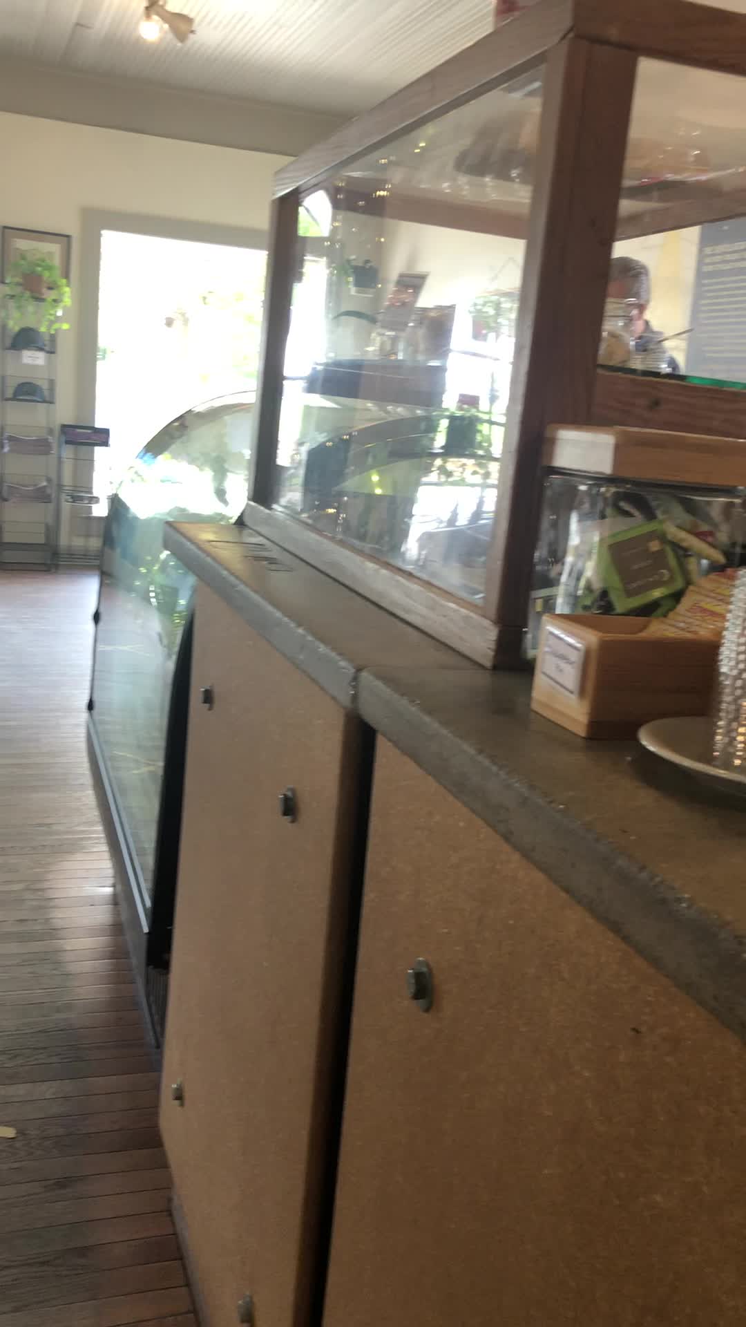 Dripolator Coffeehouse