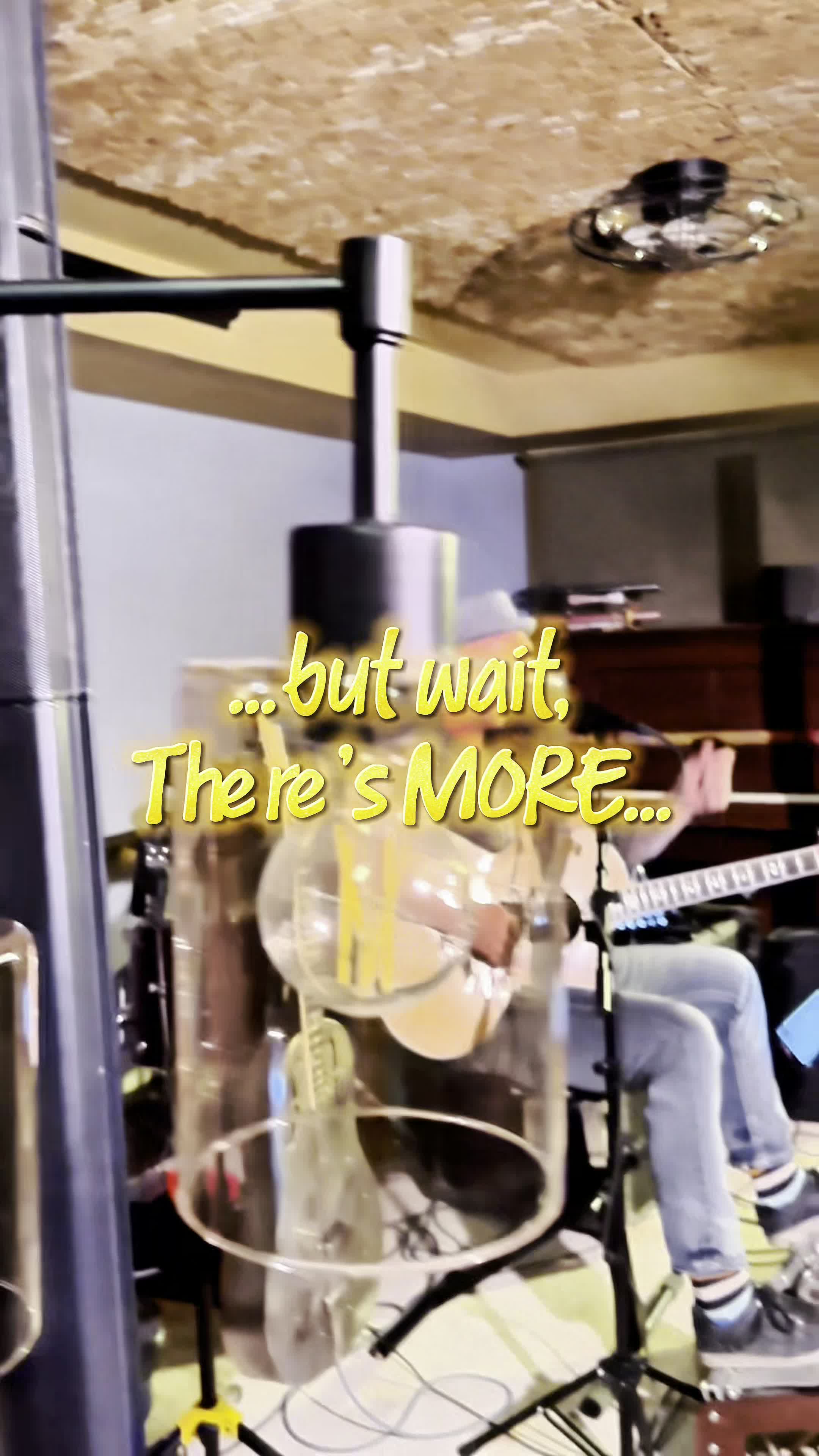 Acoustic Cellars Lodge