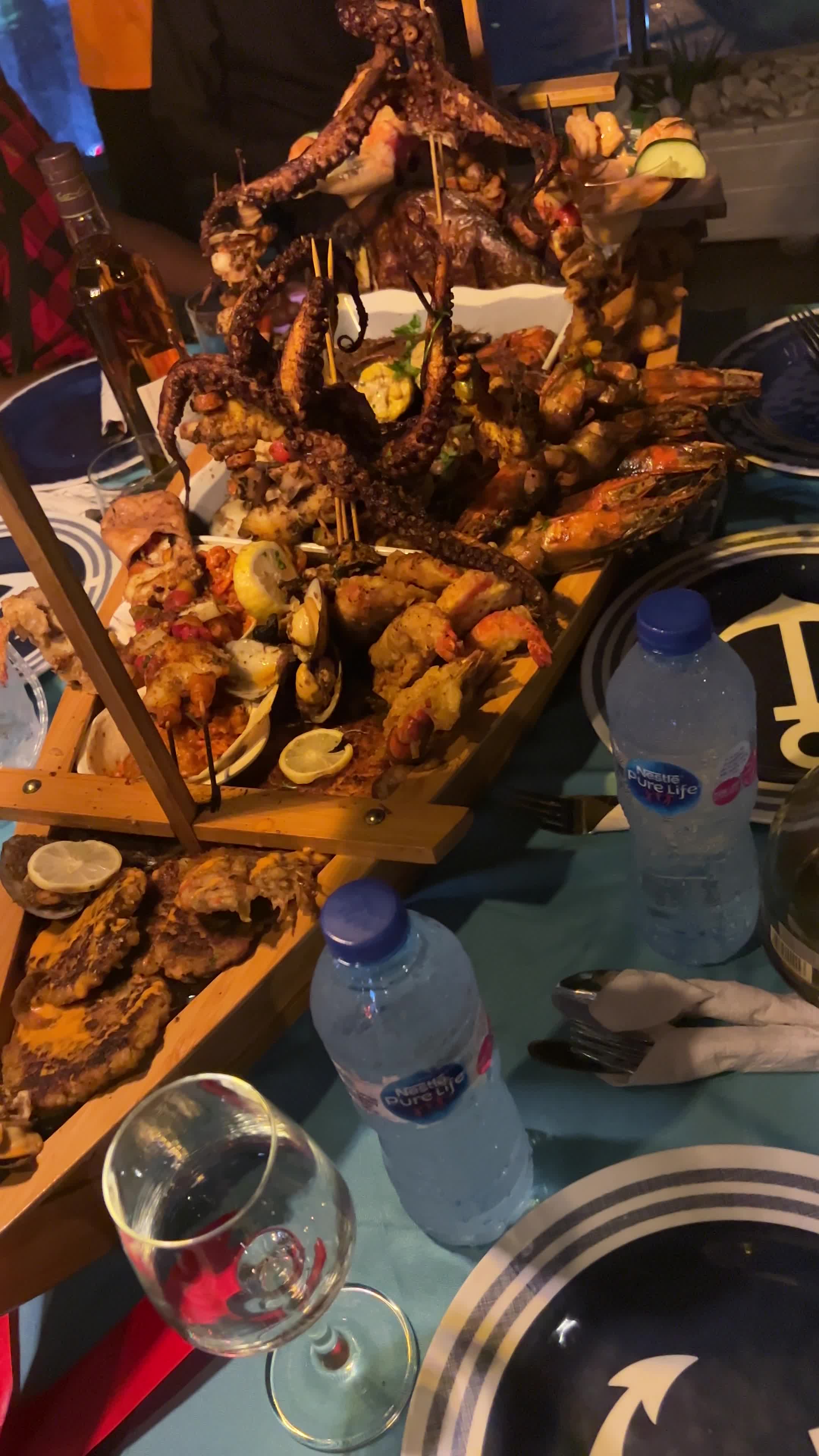Shark House 101
