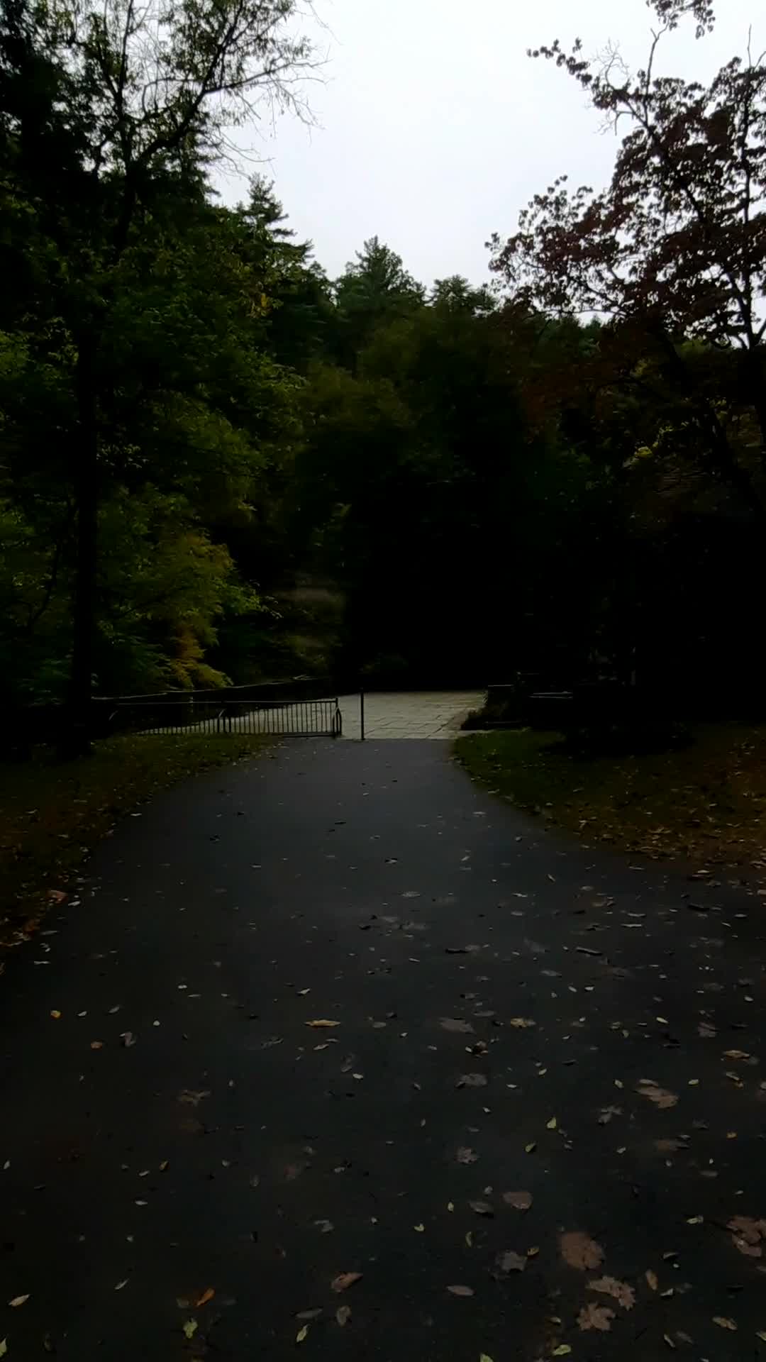 Robert H Treman State Park
