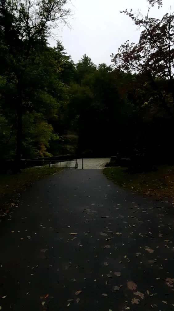 Robert H Treman State Park
