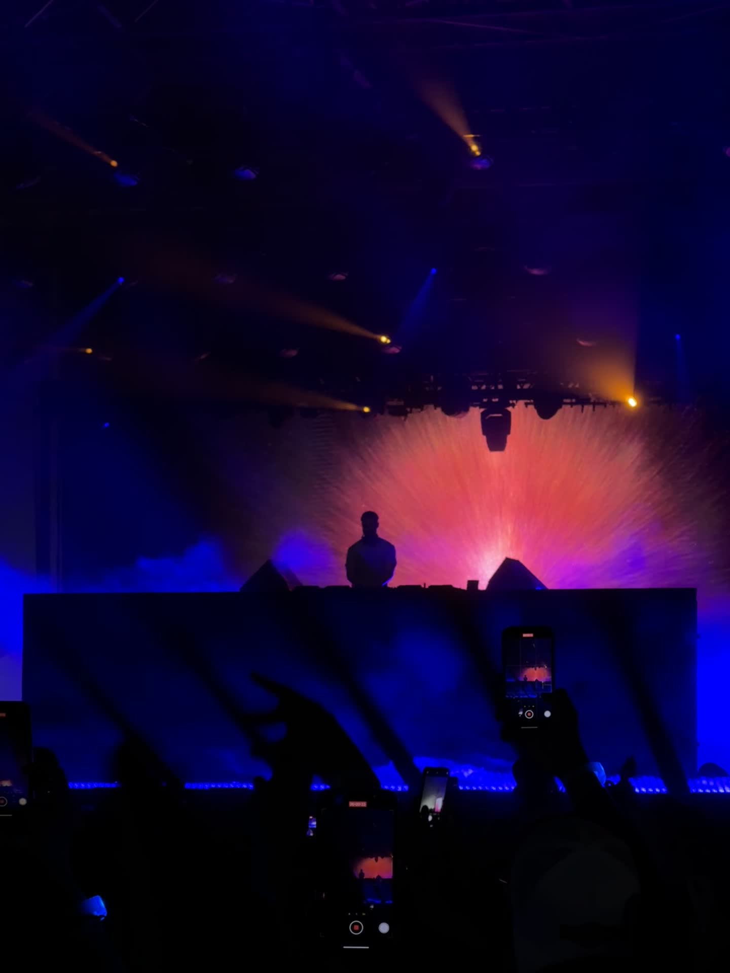 Palm Tree Music Festival