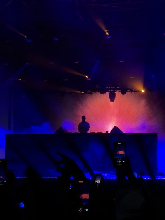 Palm Tree Music Festival