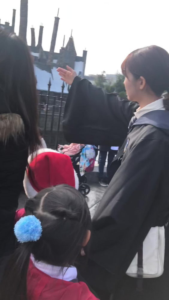 Harry Potter and the Forbidden Journey™