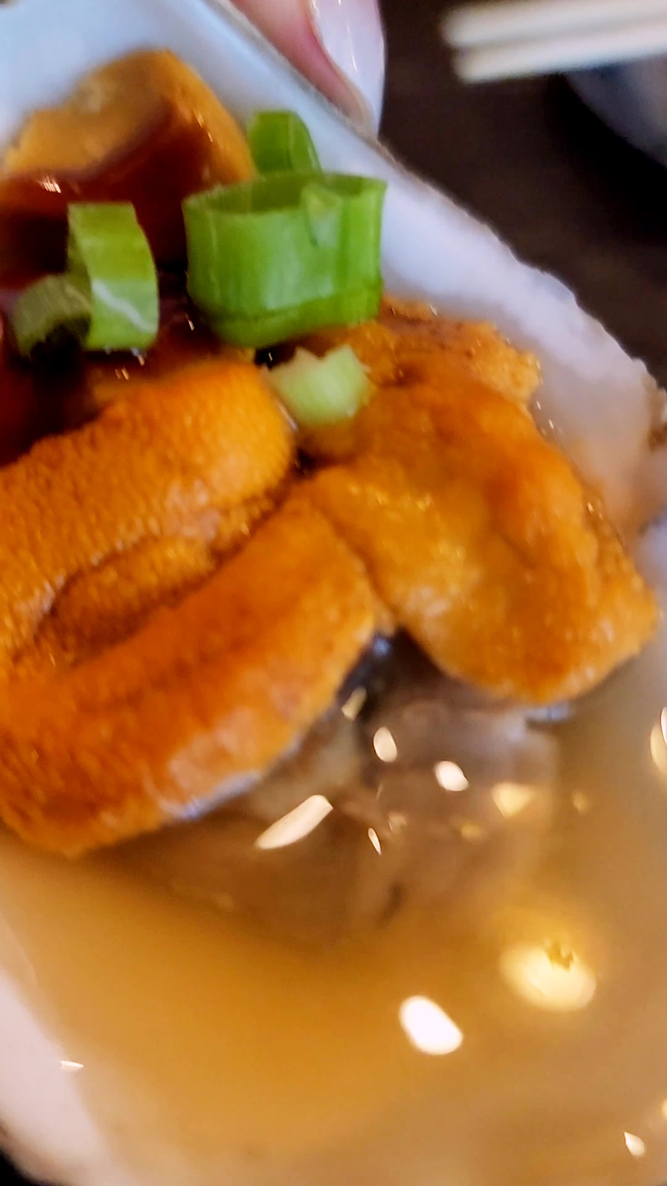 Fujisan Japanese Grill & Sushi Bar