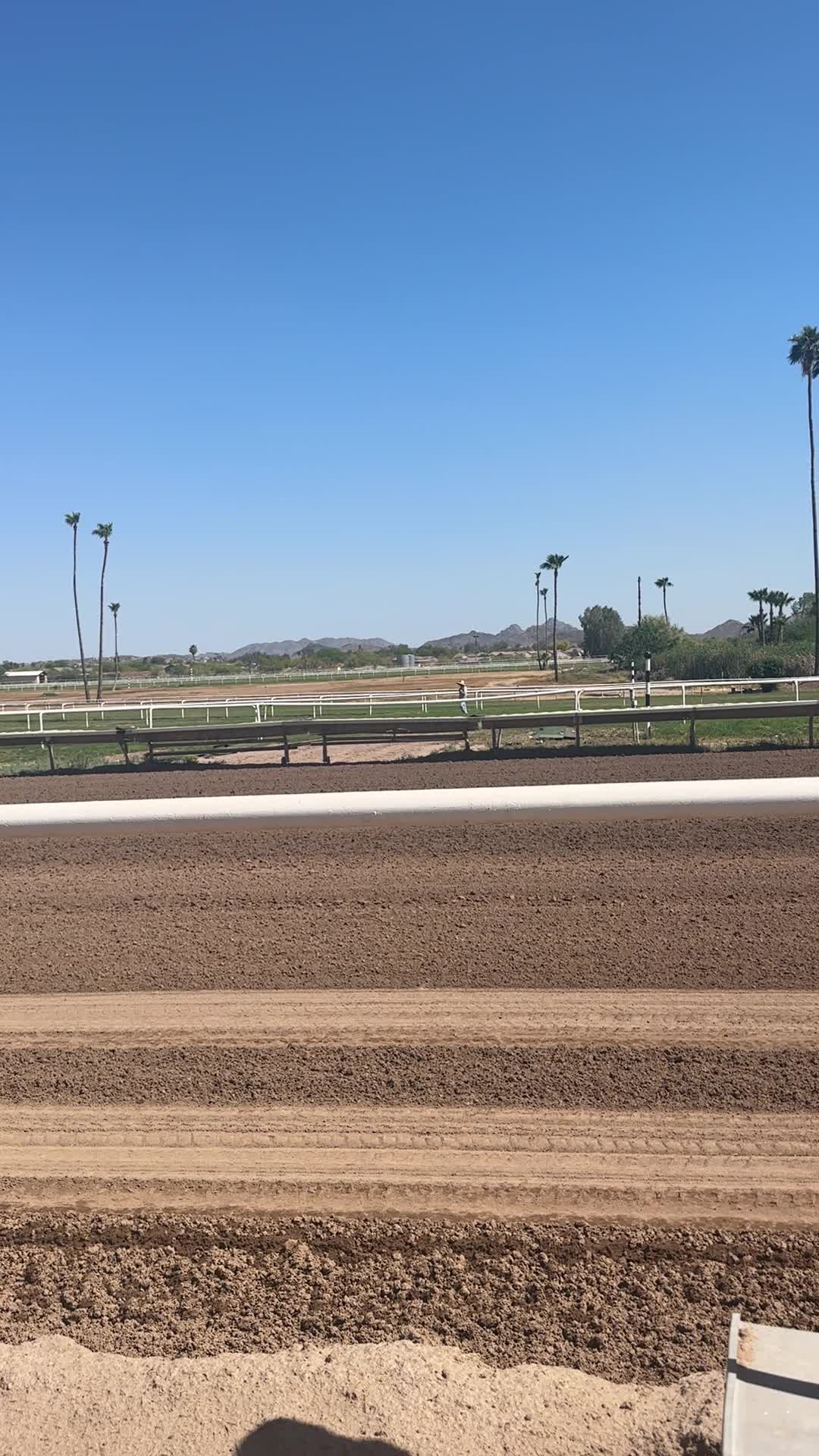 Turf Paradise