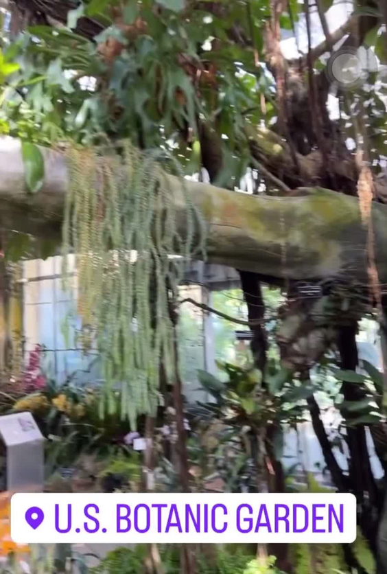 US Botanic Garden Production Facility