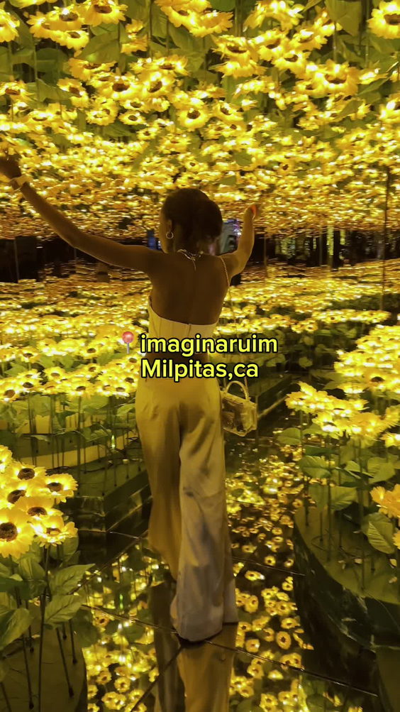 Imaginaruim milpitas ,ca