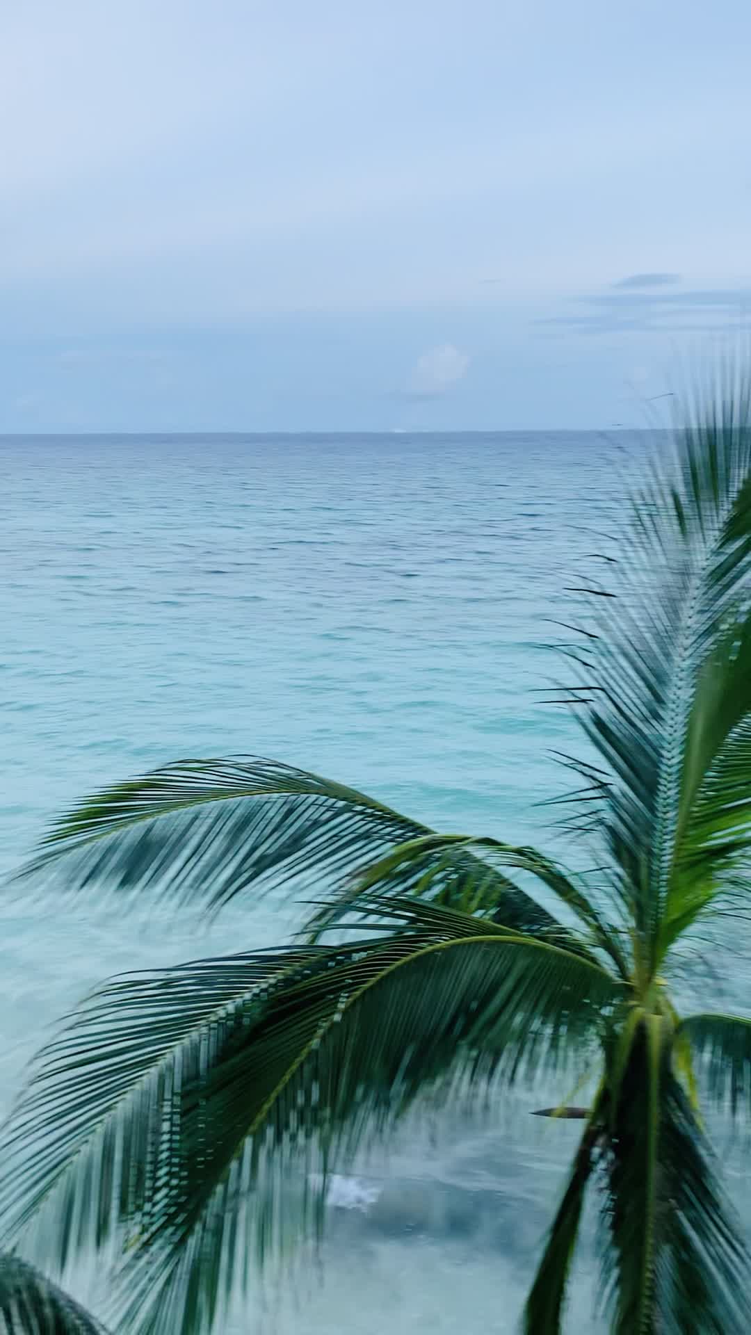 Thompson Playa Del Carmen Beach House, by Hyatt