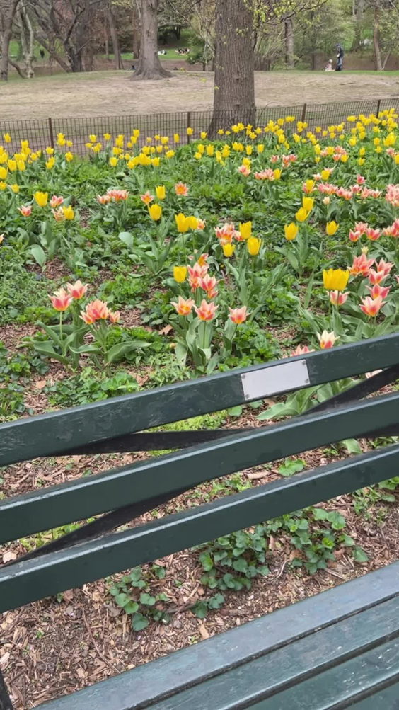 Ann Flower Garden
