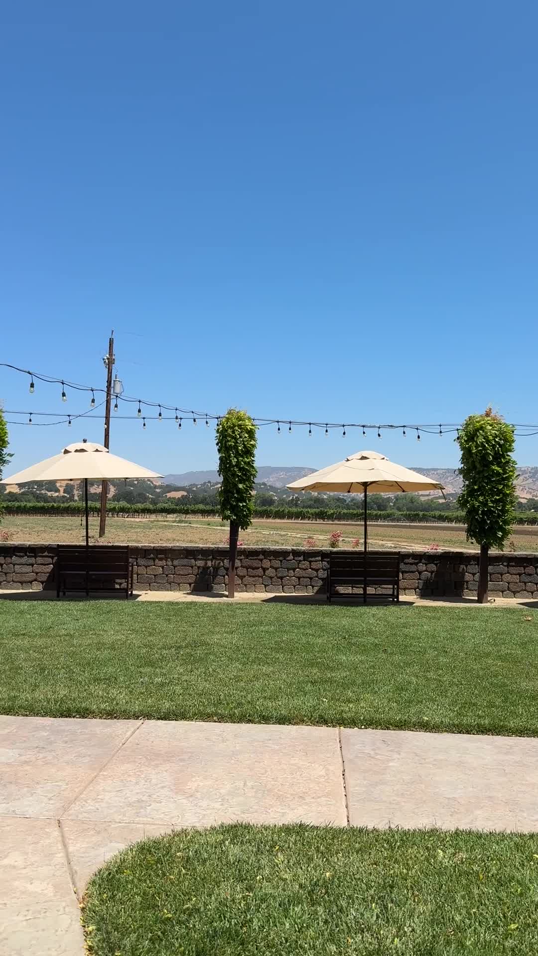 Video review of Wooden Valley Winery