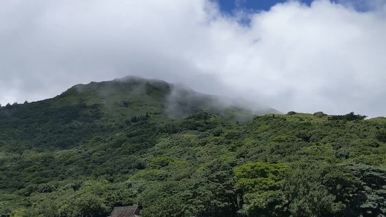 陽明山 Yangmingshan