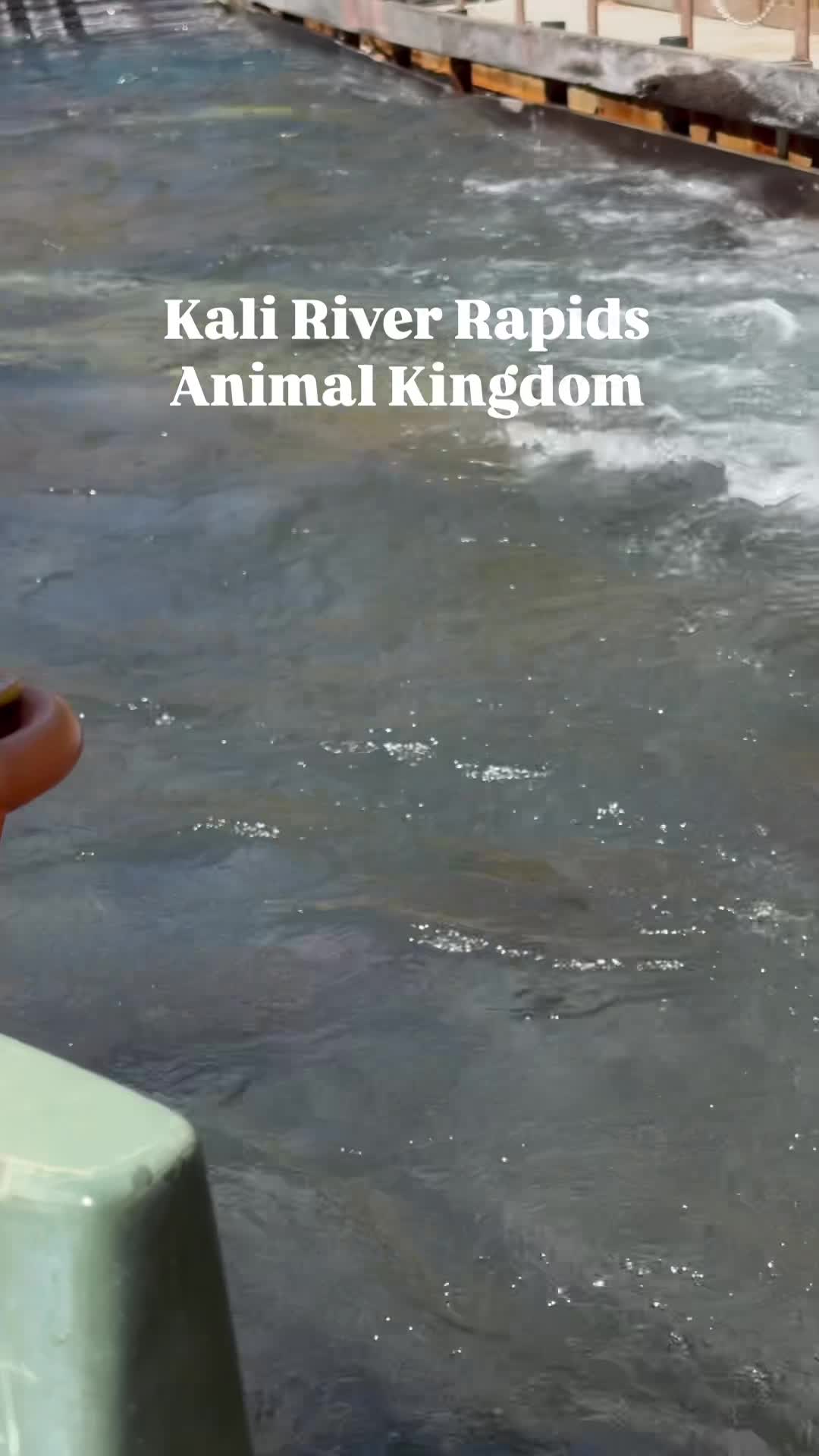 Disney's Animal Kingdom