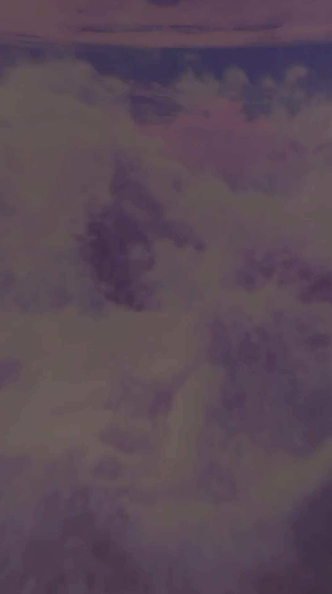 SkyFly: Soar America