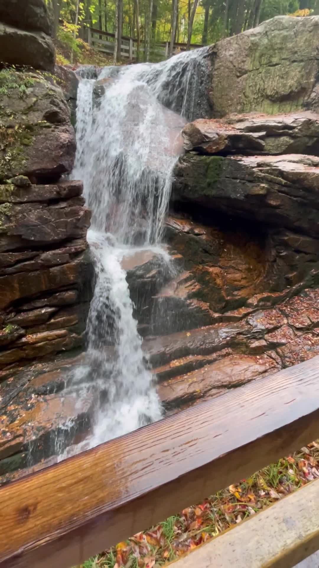 Video review of Flume Gorge