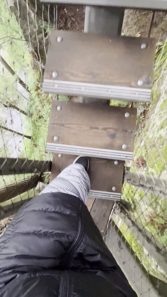 Capilano Suspension Bridge Park