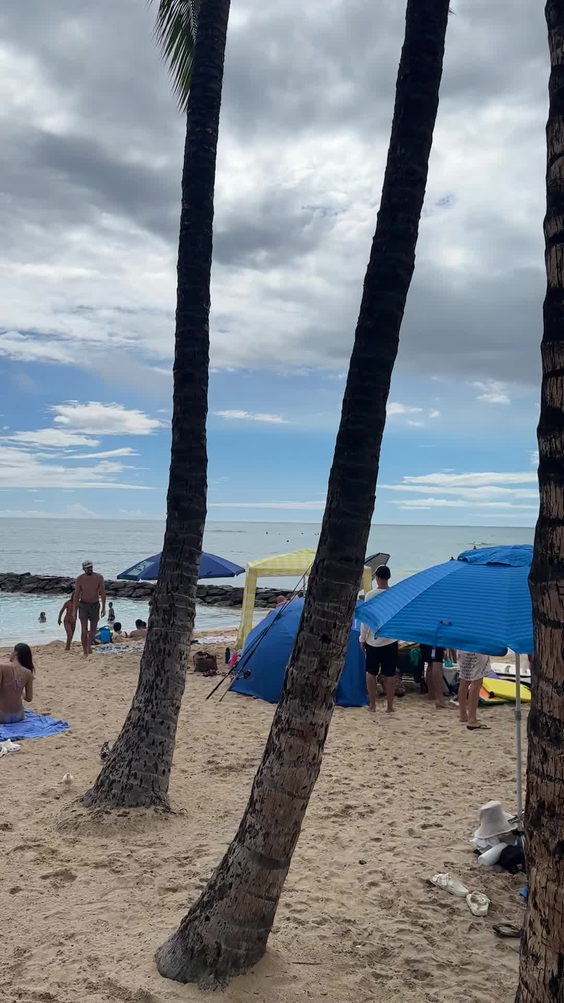 Huge Banyan Tree On The Beach