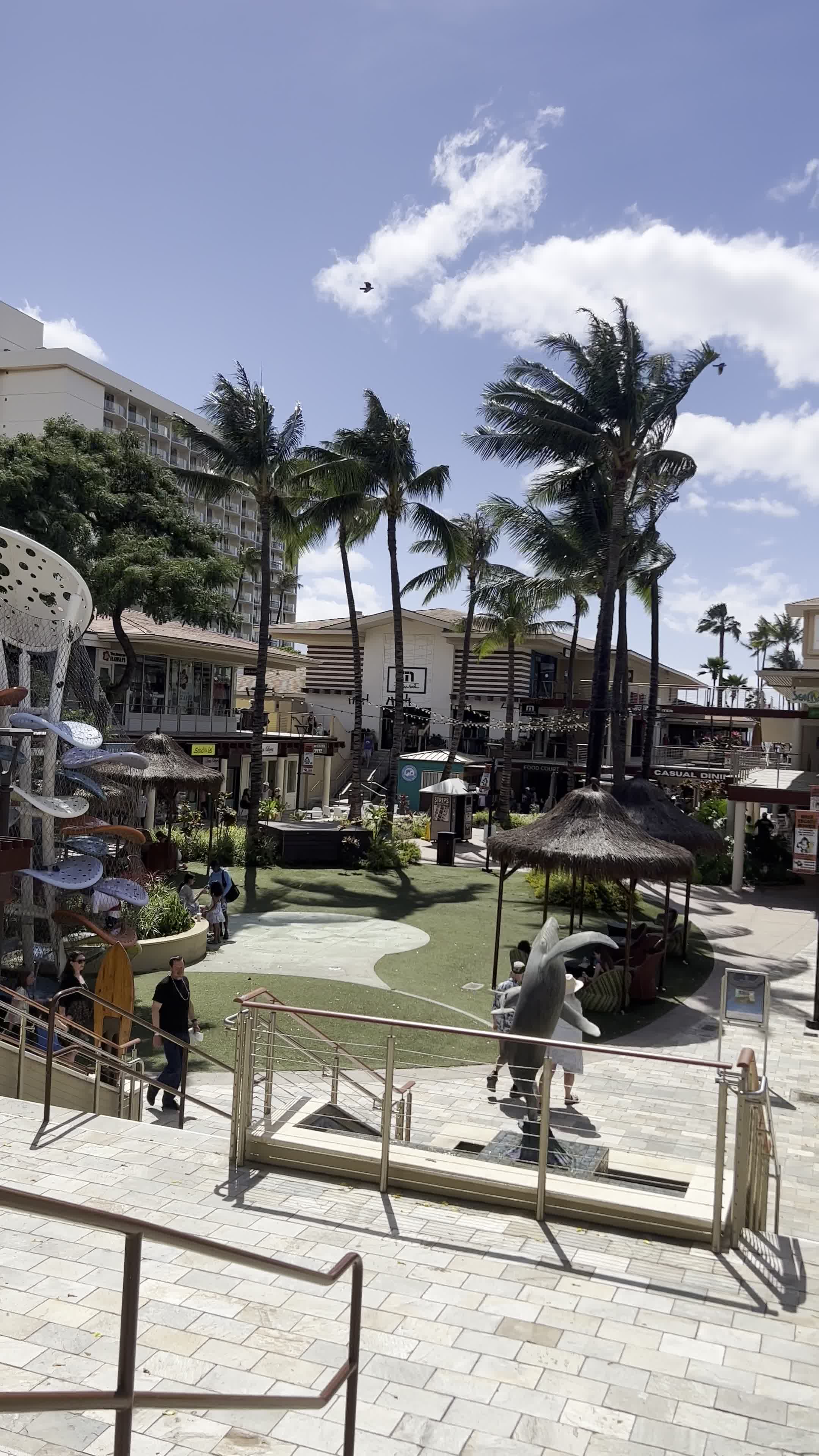 Video review of Whalers Village