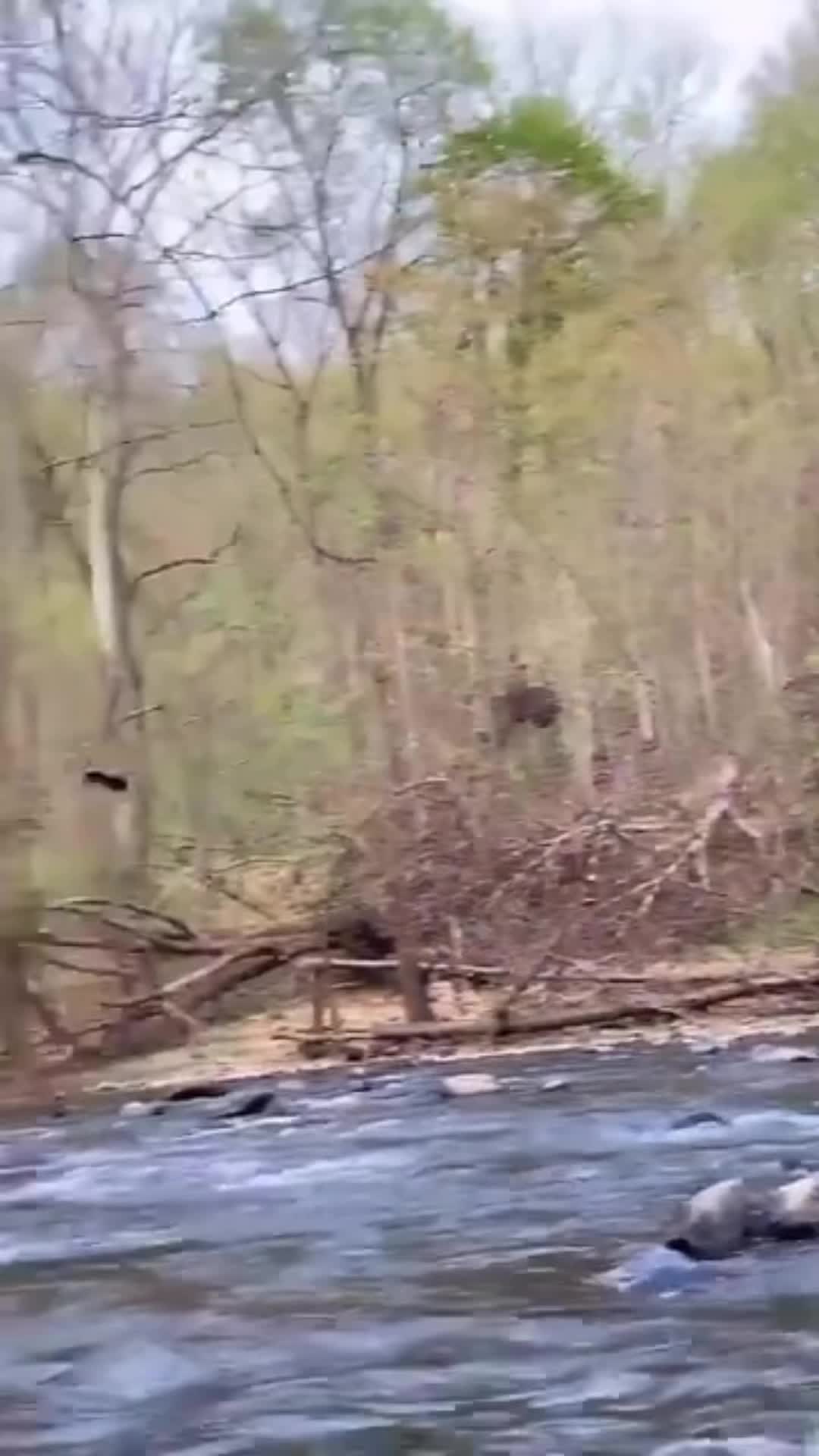 Video review of Patapsco State Park - Cascade Falls Trailhead