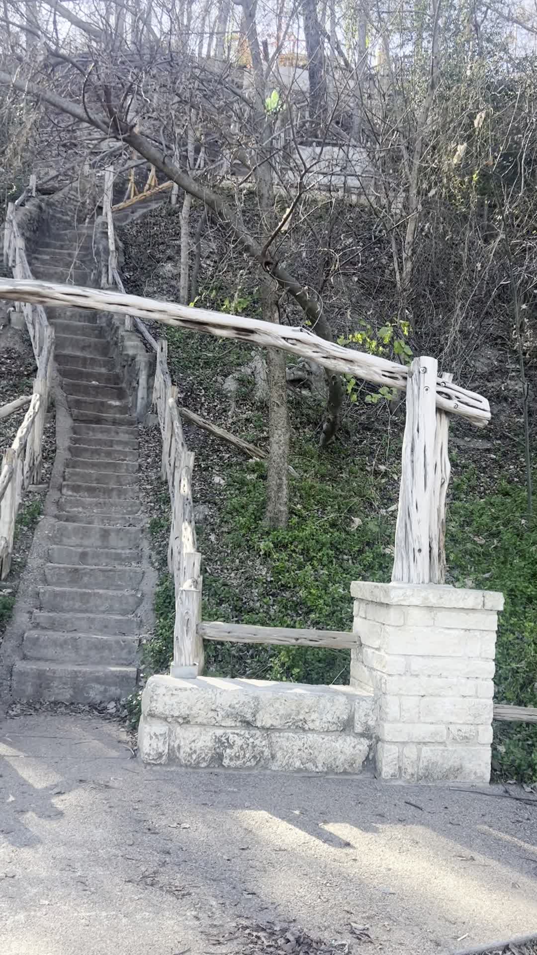 Jacob's Ladder