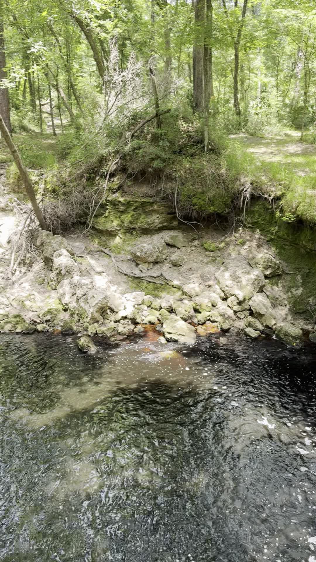 Falling Creek Falls