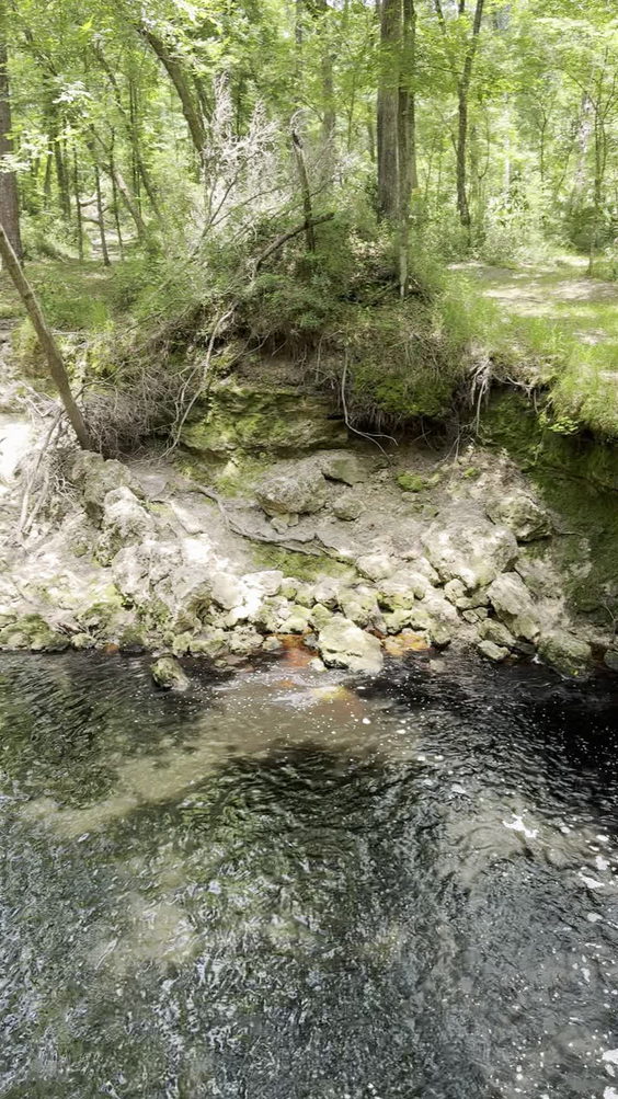 Falling Creek Falls